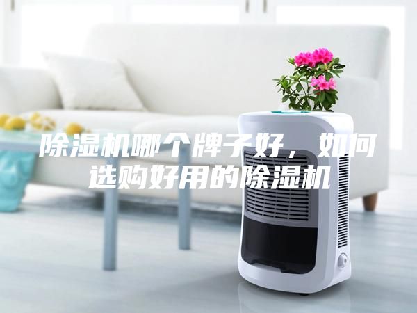 除濕機哪個牌子好，如何選購好用的除濕機