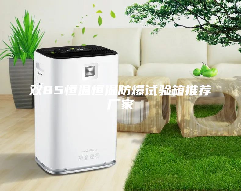 雙85恒溫恒濕防爆試驗(yàn)箱推薦廠家