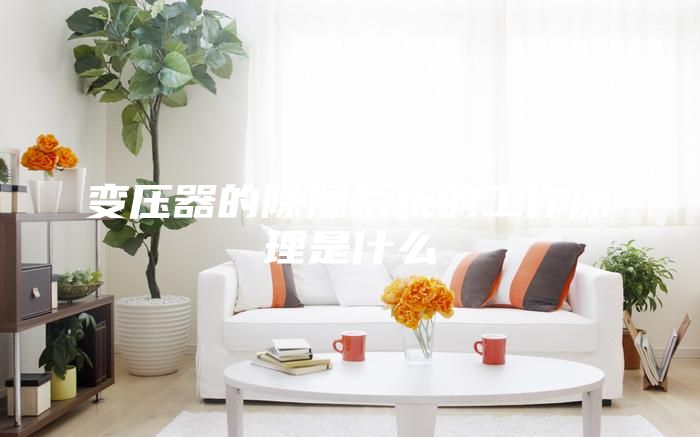 變壓器的除濕系統(tǒng)的工作原理是什么