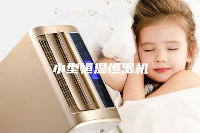 小型恒溫恒濕機(jī)