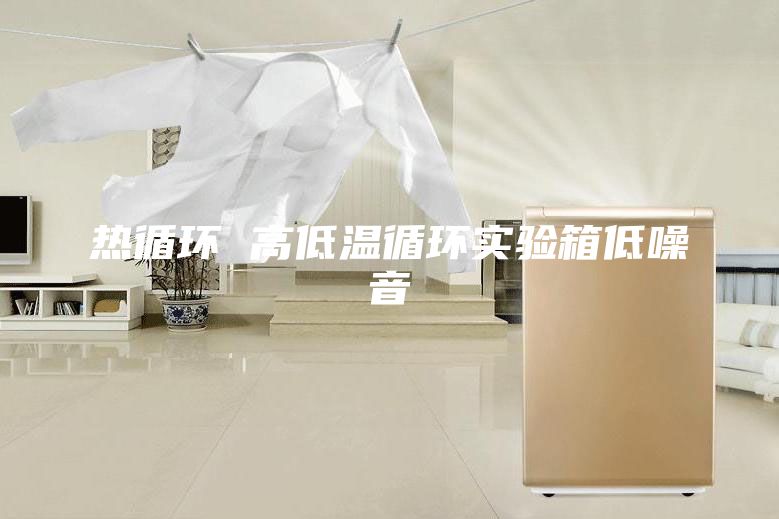 熱循環(huán) 高低溫循環(huán)實驗箱低噪音